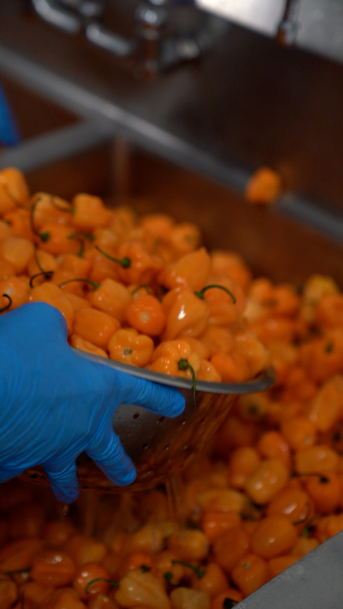A video with fun music showing large crates full of orange habanero peppers being washed and prepared for hot sauce bottling. It cuts to the habaneros being cooked, ground, and combined with other ingredients  to make Yellowbird habanero hot sauce. The ready sauce is then shown being bottled into our classic Yellowbird squeeze container and stocked. The video ends with the production team smiling while holding Yellowbird hot sauce bottles. A job well done!